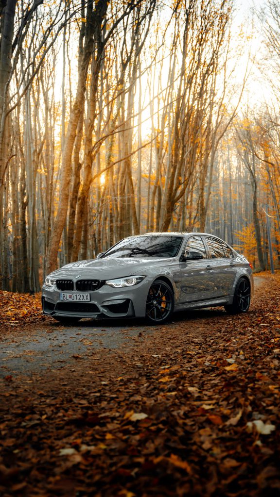Một chiếc BMW màu xám trên con đường phủ lá vàng